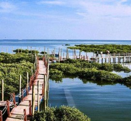 兴化旅游哪里好玩(云南旅游哪里好玩)