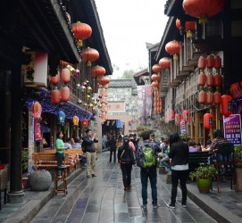 兴化成都自助游(成都自助游住哪里方便)