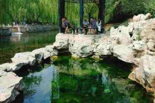 兴化济南旅游攻略(青岛威海济南旅游攻略)