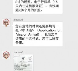 兴化国外伴游软件进中国的(国内高端伴游哪个app好)