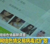 兴化上海伴游 伴游女郎白天陪玩晚上陪睡 网络跑火日薪过万(图)