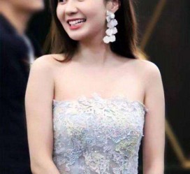 兴化cnbanycom伴游中国明星的简单介绍