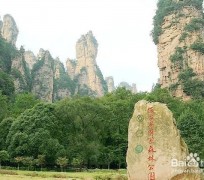 兴化自驾旅游攻略(自驾旅游攻略app排行榜)