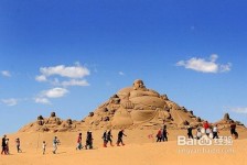 兴化旅游图片大全(跟团旅游图片大全)