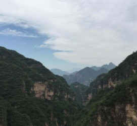 兴化伴游中国伴游城(伴游网上海)