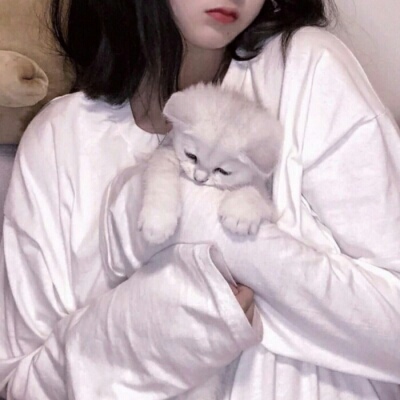 兴化伴游女生蕾鮑的资料
